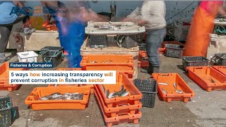 5 ways how increase transparency prevent corruption in fisheries