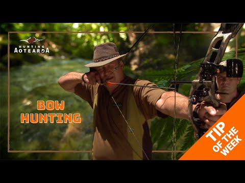 Hunting Aotearoa Tip - Bow Shooting