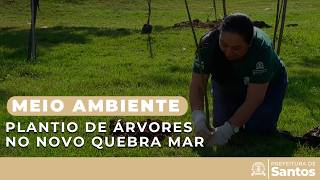 Meio Ambiente - Plantio de árvores no Novo Quebra Mar