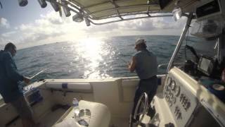 preview picture of video 'Catching kingfish offshore'