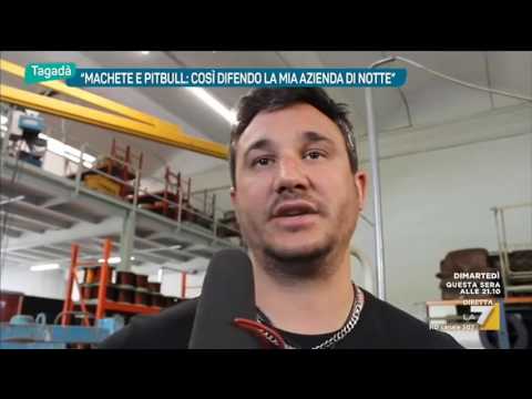 'Machete e pitbull: così difendo la mia azienda di notte'