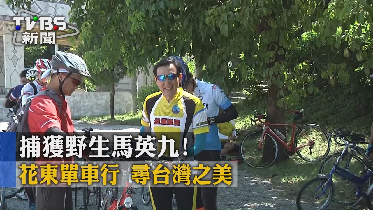 捕獲野生馬英九！花東單車行　尋台灣之美