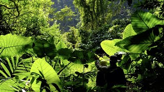 Silent Hiking on Cat Ba Island, Vietnam