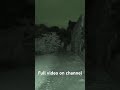 Alone at night in a cemetery and a stranger approaches #cottagelife