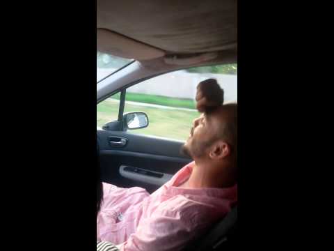 Asa voce la rece sorin parfum acum  te pwp fratelo