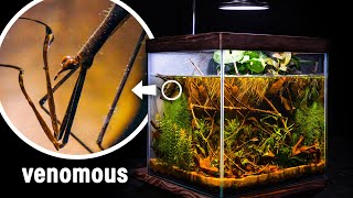 I Made a Nano Wetland Pond for Water Mantis