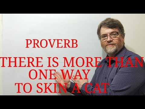 English Tutor Nick P Proverbs (84) There's more Than One Way to Skin a Cat