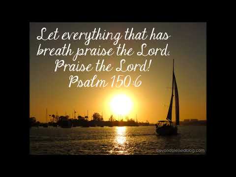 non stop classical mezmur