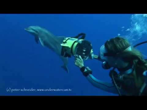 Mermaids, Rangiroa allgemein,Französisch-Polynesien