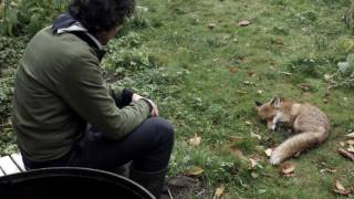 Alex Stolze "Mankind Animal" teaser