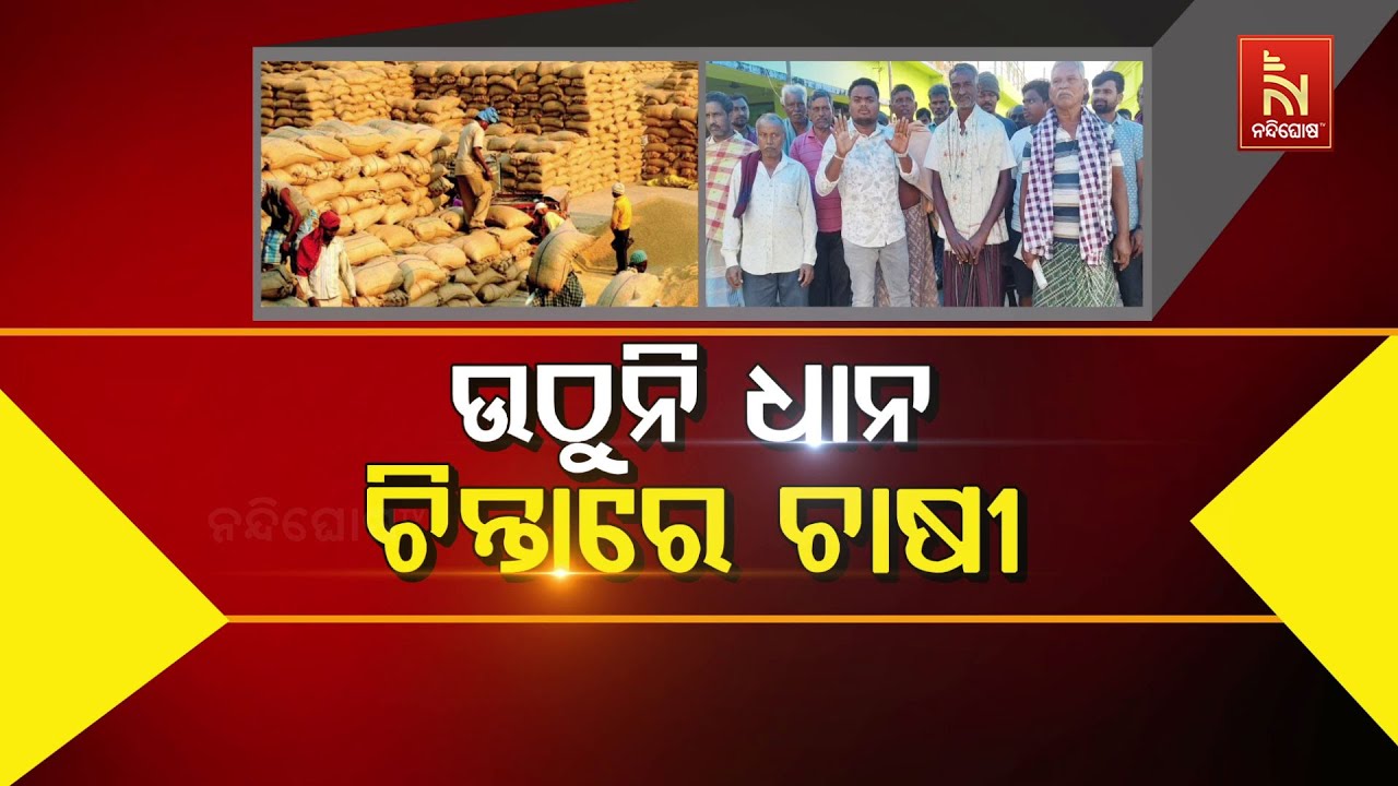 🔴 Live | ଉଠୁନି ଧାନ ଚିନ୍ତାରେ ଚାଷୀ