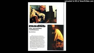 Madlib - No More Parties in L.A. (Instrumental Snippet)