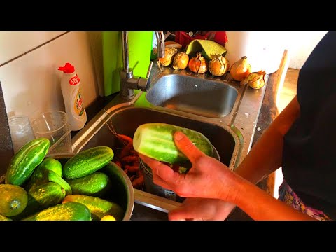 How to Make Salad Stocks from Overgrown Cucumbers ASMR Edition