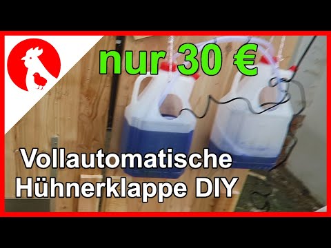 049 - Automatic Chicken Door DIY - Jensman and the Chickens 🐔 - Fully Automatic Chicken Door