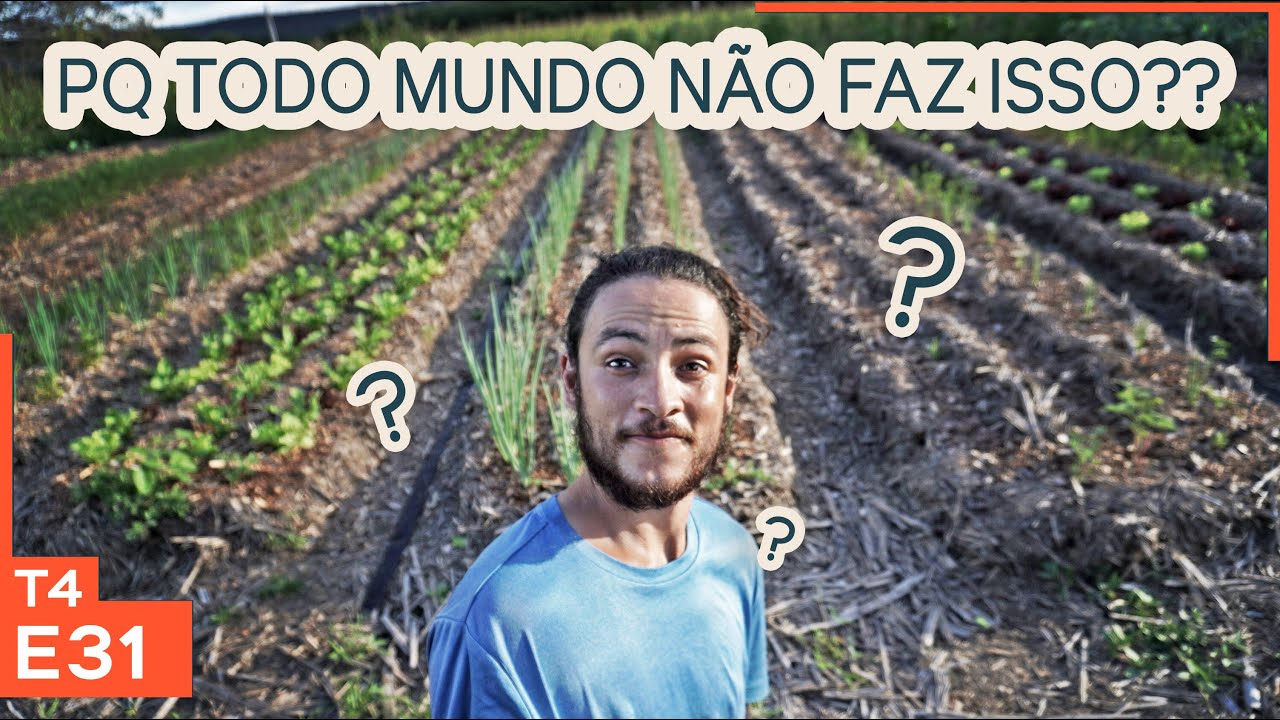 A horta mais incrível que eu já vi!!