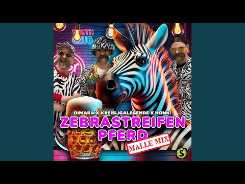 Zebrastreifenpferd (Malle Mix)