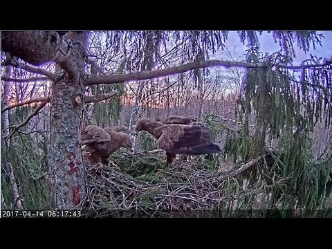 2017/04/14 06h14m Latvian LSE ~They are talking to each other.....