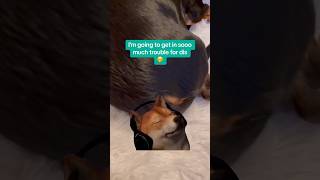 Download lagu Jammin wiff my friend/Jedag-Jedug breakdance. DJ Chen #charlieskingdom mp3