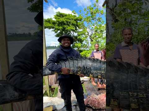 Pemanfaatan Buaya di Papua - Mamberamo Raya #papua  #buaya    #crocodile  #petualangan  #indigenous