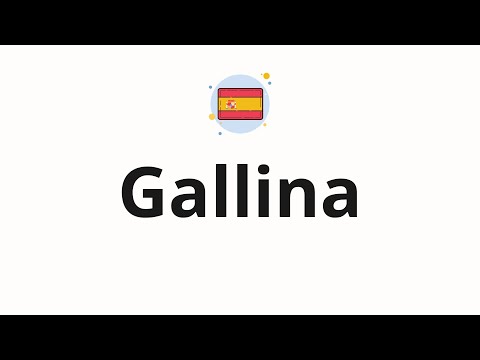 How to pronounce Gallina (Chicken in Spanish)
