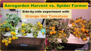 Spider Farmer vs. Aerogarden Harvest Hydroponics System, side-by-side with Orange Hat Tomatoes