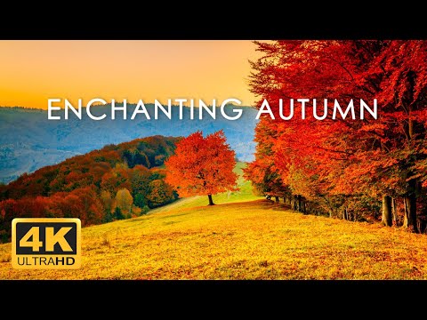11 HRS Incredible Fall Foliage - Best 4K Autumn Nature Scenes from Around the World + Calming Music