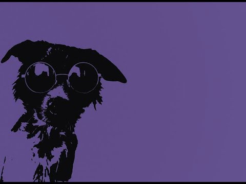 Dl Goe -  Căţea (Official Lyric Video)