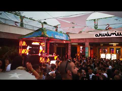 Sasha @ Akvárium 2019 (Sun & Soda)