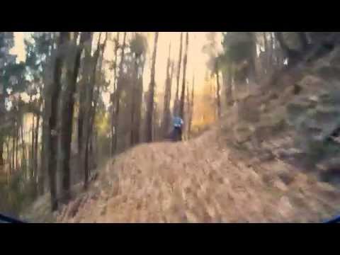 Codrii Seculari - Up&Down