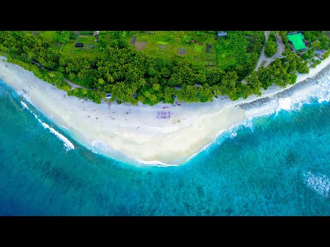 Days In Maldives | Honeymoon Trip To Maldives | Love In Maldives | Travelling Maldives