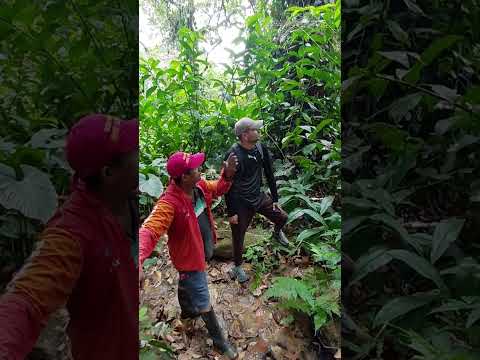 Práctica exploratoria, Vereda Aguas Claras Municipio de Suarez -Tolima 
