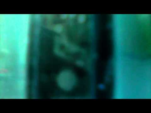 yo 我yo yo happy  kawing