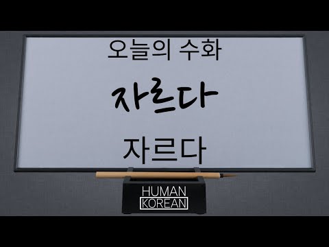 「자르다」의 한국수어 표현