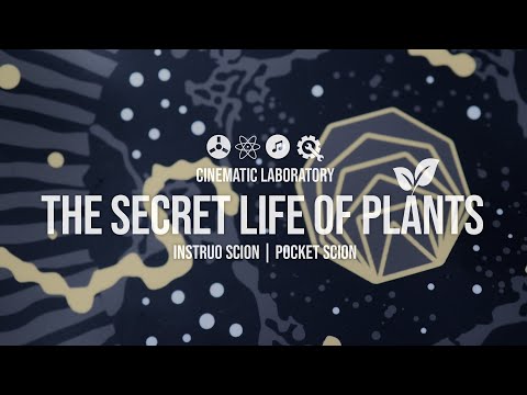 Instruo PocketScion vs classic Scion | The Secret Life of Plants
