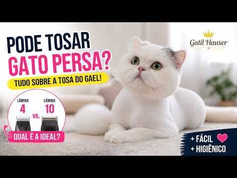 download lagu mp3 mp4 Tosagata, download lagu Tosagata gratis, unduh video klip Tosagata