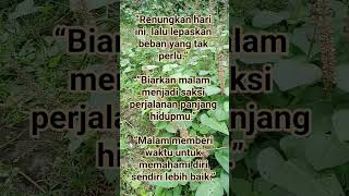 Download lagu Kata Kata Bijak Untuk Renungan Malam Hari Ini Penuh Motivasi dan Nasehat Diri Agar Supaya Tenang mp3 Download lagu Kata Kata Bijak Untuk Renungan Malam Hari Ini Penuh Motivasi dan Nasehat Diri Agar Supaya Tenang mp3