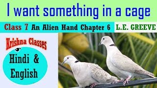 I Want something in a Cage Hindi