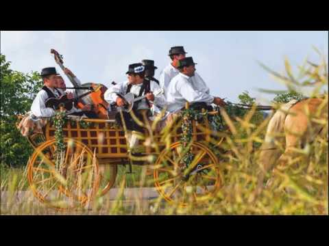 Miroslav Škoro - Tajna najveća (duet sa Martom Nikolin)