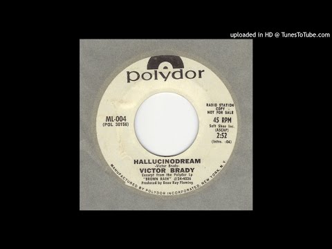 Victor Brady - Hallucinodream