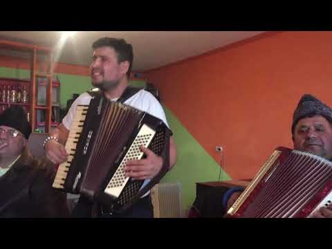 Câțan la liber.mp4