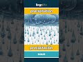 precipitation - precipitación video thumbnail