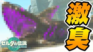 くっさ-PART12-【ゼルダの伝説ティアーズオブザキングダム】