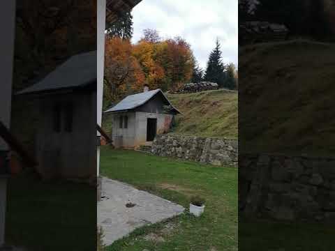 Mănăstirea Ciocanu