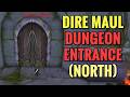 Dire Maul (NORTH) Dungeon Entrance Location (WoW Classic)