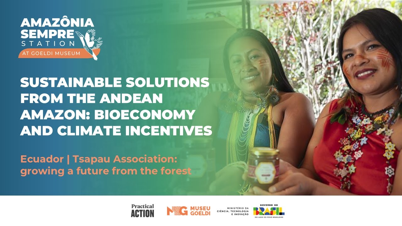 Ecuador | Tsapau Association: growing a future from the forest