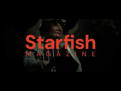 Dublin’s Museum of Curiosities