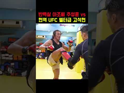 반백살 아조씨랑 스파링하는 코리안 타이슨