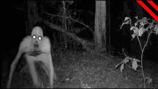 Scariest Creatures Caught On Camera &amp; Spotted In Real Life