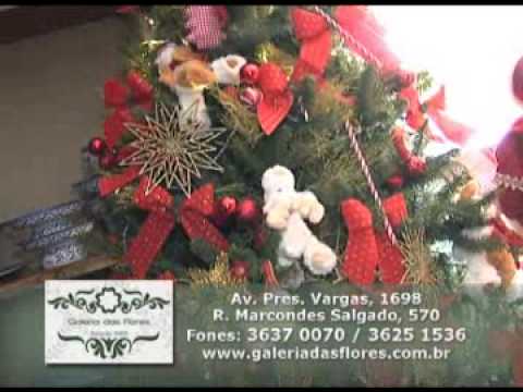 Programa Neusa Bighetti exibido no dia 16/12/2012 - Galeria das Flores