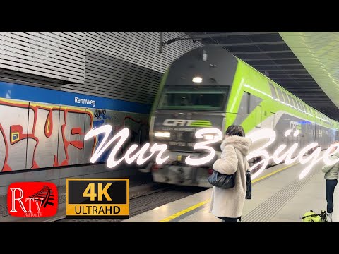 Only 3 trains / Cat / Double-decker / CityJet